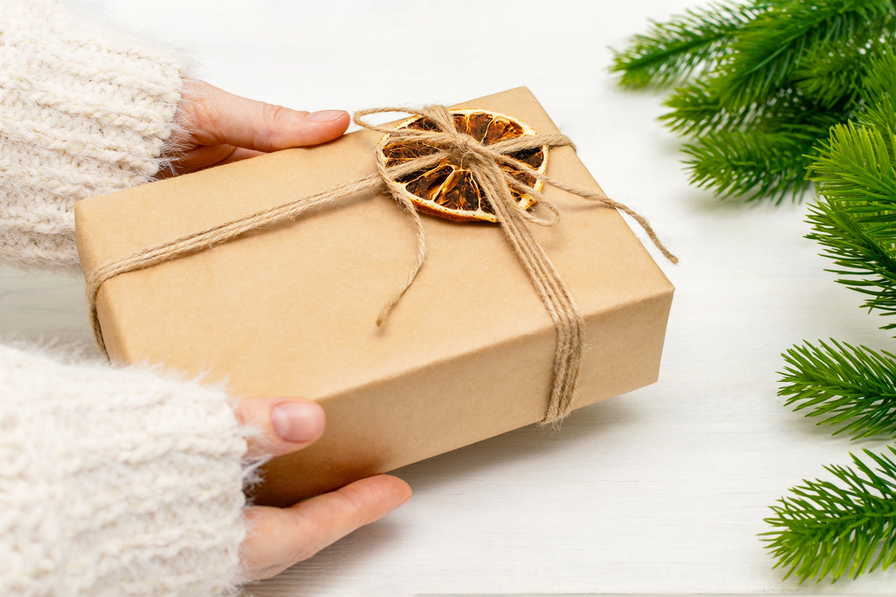 Highlights im Winter