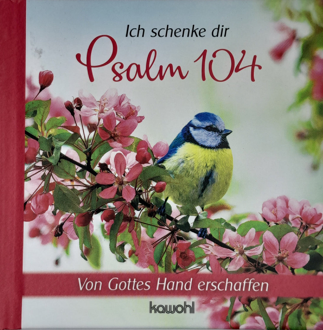 Ich schenke dir Psalm 104