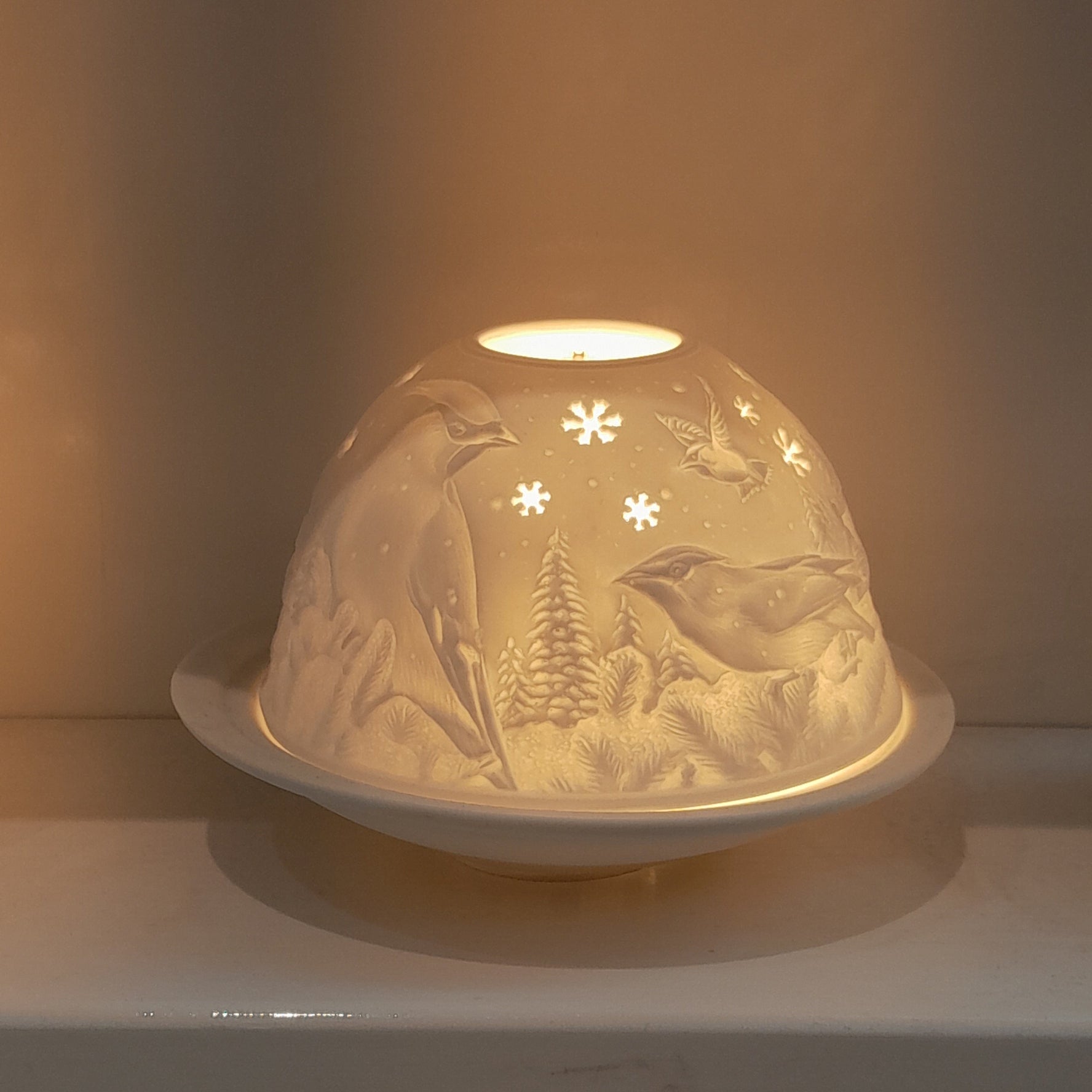 Starlight Nr.275 / Vögel im Schnee