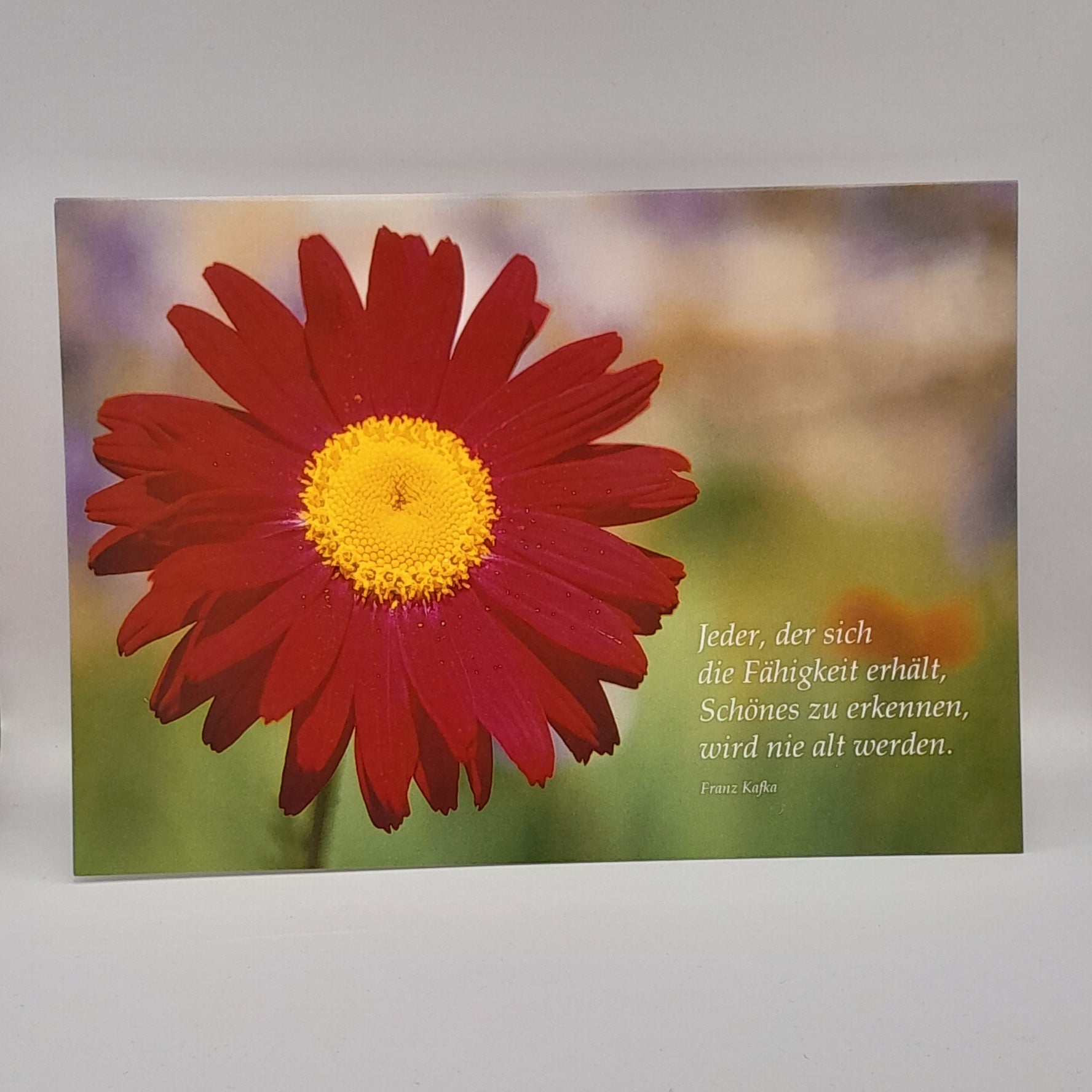 Billet zum Geburtstag "Rote Blume"