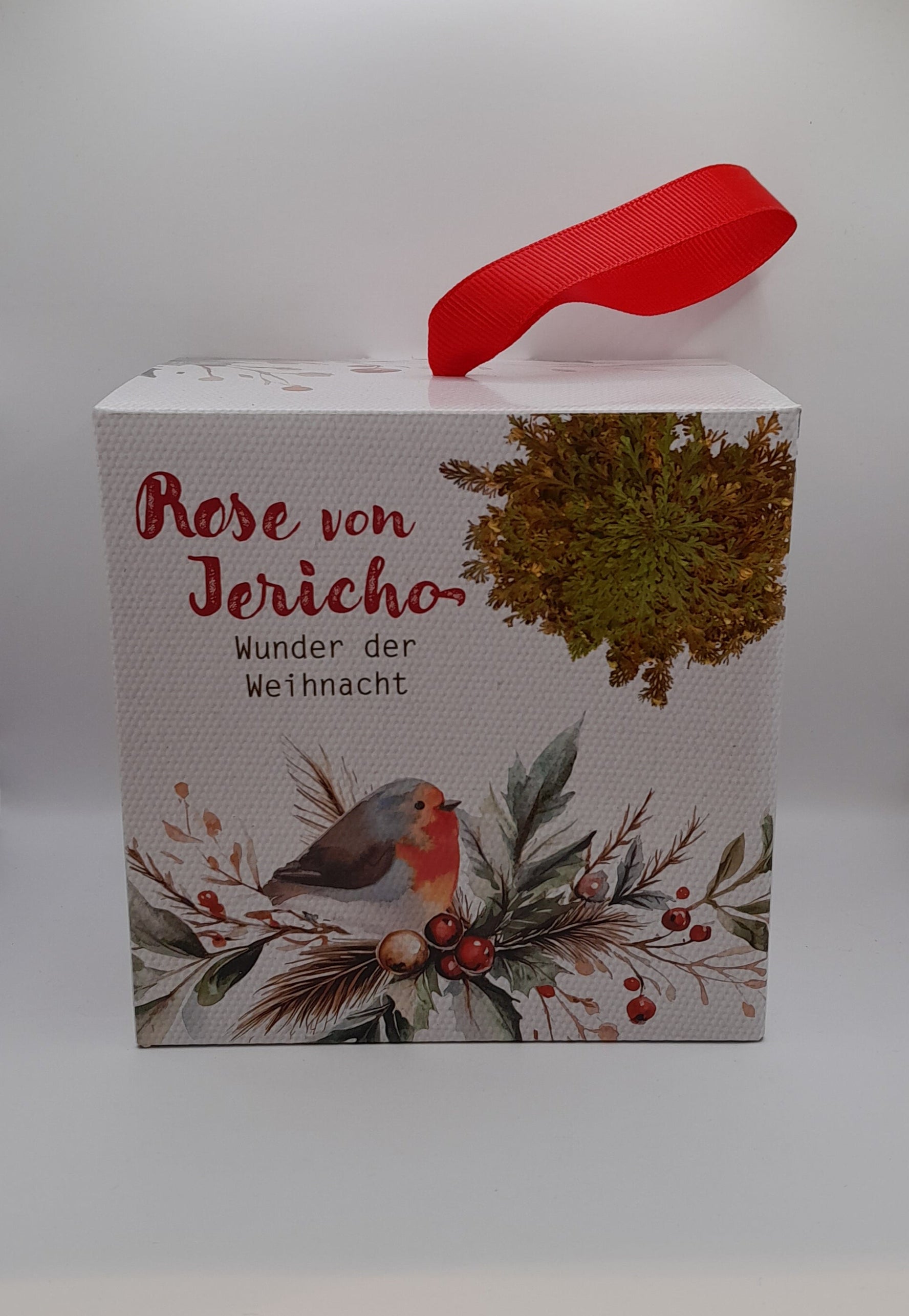 Rose von Jericho - Geschenkkarton "Weihnachten"